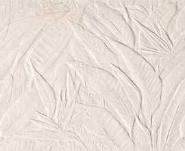 Плитка fRXO Nobu Litia White Matt RT 50x120