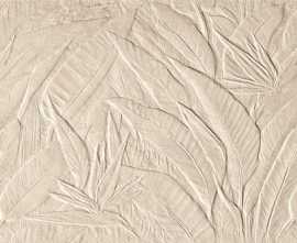 Плитка fRXM Nobu Litia Beige Matt RT 50x120
