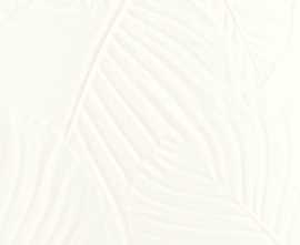 Плитка Palm White matt 45x120