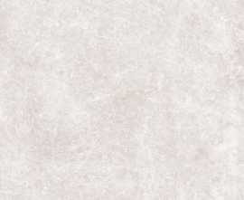 Керамогранит LIGHT GREY MATT RET 60x60
