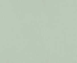 Плитка fTDV True Color Matcha Matt RT 50x120