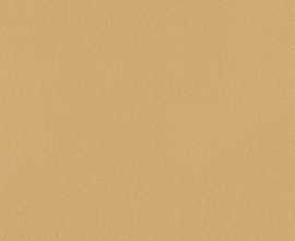 Плитка fTDS True Color Caramel Matt RT 50x120