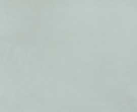 Плитка fRQ5 Color Mood Cielo Matt 80x160