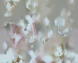 Керамогранит fRYI Color Mood Flowery Field Matt 120x278