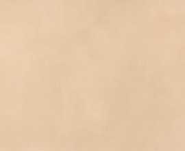 Плитка fRQ9 Color Mood Rosa Matt 80x160
