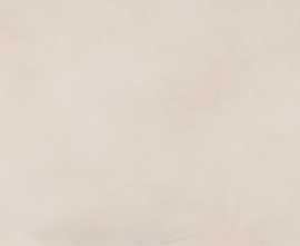 Плитка fRQ4 Color Mood Beige Matt 80x160