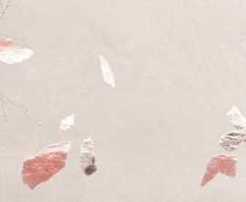 Плитка fQWF Ylico Petals 50x120