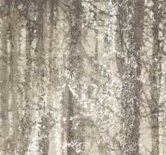 Керамогранит fQWO Ylico Wood Fog 120x278
