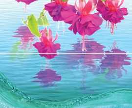 Плитка P2-1 Ocean flowers P2-1D240 Панно из 2-х плиток 30х40