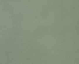 Плитка fTOJ Materia Brillante Bosco Brillante RT 50x120
