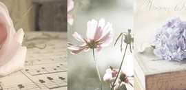 Плитка Decor Romantique 04 25x75