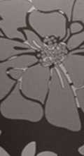 Плитка List Flower Nero Lucido 6*50