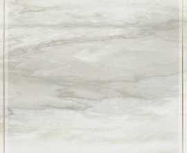 Керамогранит SRPGG Venus Dec. Solitaire Rosone Pav. Gold Grey 60х60