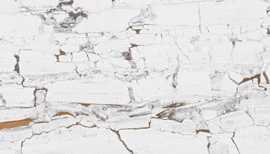 Плитка 187951 Leonardo White 30x90