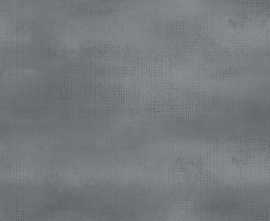 Плитка WT9SHP25 Shape Graphite 24.9х50