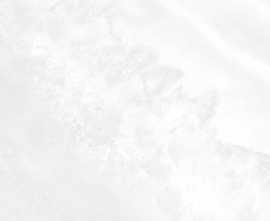 Плитка WT9PAL00 Palmira light 249*500*8,5