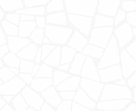 Плитка WT9SML00 Smalta White 249x500