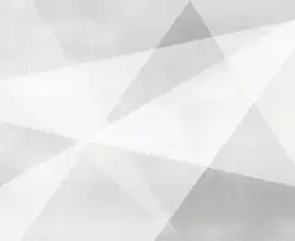 Плитка WT9SHG00 Shape Geometric White 24.9х50