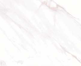 Плитка WT9ETE00 Eterna Light 249*500*7.5