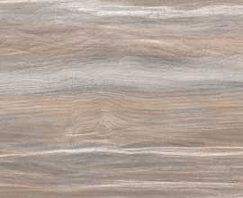 Плитка WT9ESR21 Esprit Wood 250*500*9