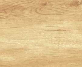 Плитка WT9OAS31 Paradise Wood 250*500*9