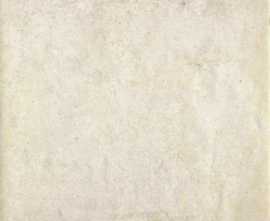 Плитка Bolonia Blanco 20*20