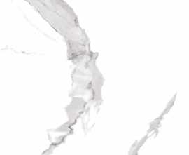 Керамогранит Prima Calacatta GP6PRI00 41*41