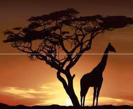 Плитка Панно Africa P2-1D210 40х40