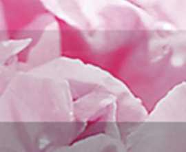 Плитка Бордюр рельефный Peony br1020D281-2 20х10