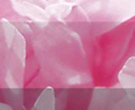 Плитка Бордюр рельефный Peony br1020D281-1 20х10