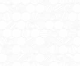 Плитка TWU09BOL000 Bolle 249*500*85