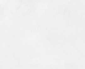 Плитка 48030R Evolution blanco матовый обрезной 40x80