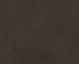 Плитка 48036R Evolution marron матовый обрезной 40x80