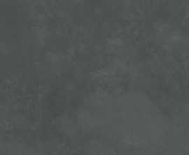 Плитка 48032R Evolution gris матовый обрезной 40x80