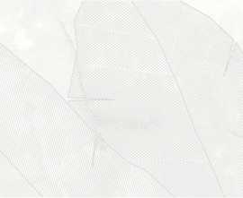 Плитка OS/C367/48027R Cosmo bianco Декор глянцевый обрезной 40x80