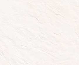 Плитка WT15EVA00R Evan White 246*740*9,8