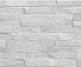 Плитка TWU2550DCV14 Discover рельефная 249x500x8