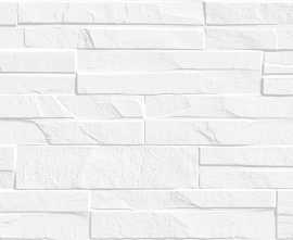 Плитка TWU2550DCV10 Discover рельефная 249x500x8