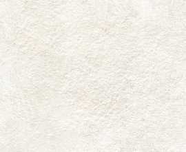 Плитка TWU3090GAR04R Garden матовая 300x900x8.5