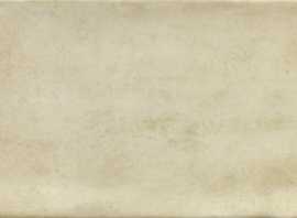 Плитка PT02254 Treviso Blanco 10х20