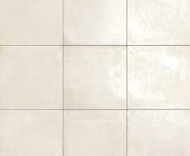 Плитка PT03094 Maiolica Bianco 20x20