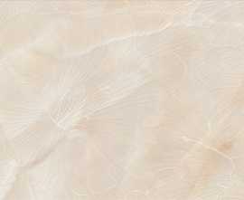 Плитка Onice Scuro Fiori 31.5x63