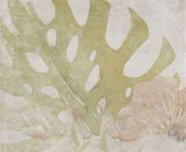 Плитка Tahiti White 20x20