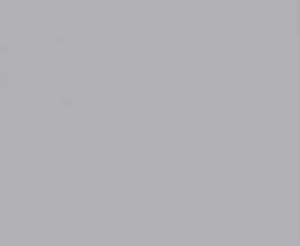 Плитка MONO Gris 42x42