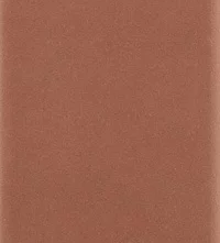 Плитка 31247 Hopp Terra 5x40