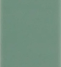 Плитка 31186 Hopp Green 5x40