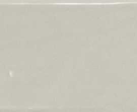 Плитка 21533 Country Gris Claro 6,5x20