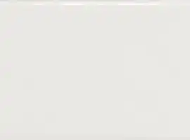 Плитка 21531 Country Blanco Gloss 6,5x20