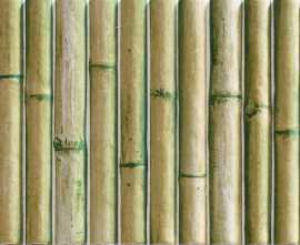 Плитка Bamboo Green 30x15