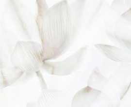 Плитка 125702 Bianco декор 25x40